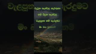 නිවන් දකින්න කාලය පැමිණ ඇත nibbana motivation dhammadesna [upl. by Einnos]