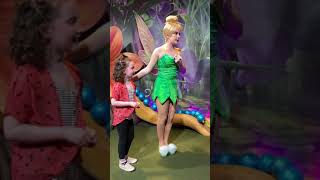 Meeting Tinkerbell  Disney World February 2020 [upl. by Htaeh]