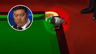 Most AWKWARD Moments In Snooker History [upl. by Fillian]