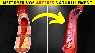 10 Meilleurs Aliments Pour Nettoyer et Protèger Les Artères Naturellement [upl. by Kcirnek724]