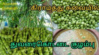 Thuvarai kottai kulambu in Tamilகிராமத்து சுவையில் துவரை கொட்டை குழம்புFresh Pigeon Peas recipe [upl. by Enyrhtac]