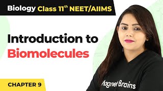 Introduction to Biomolecules  Class 11 Biology [upl. by Linneman]