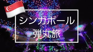 シンガポール２泊弾丸旅2ガーデンバイザベイライトショー [upl. by Kristan]