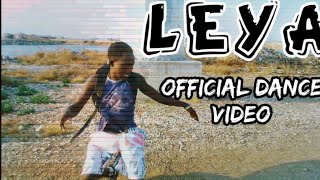 Flerine Dah’Queen Ft Chanda Na Kay – Leya Nexus music official dance video [upl. by Eibocaj]