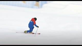 PSIA Telemark Team Technical Demos at Interski 2023 [upl. by Llerrut736]