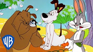 The looney tunes show devil dog part 2 [upl. by Bidget991]