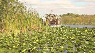 Everglades National Park [upl. by Squier610]