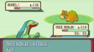 Pokemon Sapphire Walkthrough Part 21 Route 112 [upl. by Araminta555]