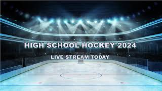 Lakewood vs North Olmsted  High School Ice Hockey LIVE [upl. by Ilrahs]