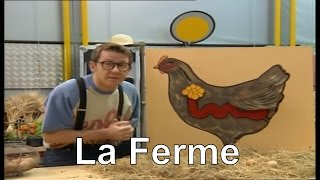 Comment se forme un oeuf de poule   Cest pas sorcier [upl. by Delsman391]