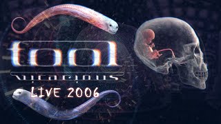 TOOL VICARIOUS Live 2006 10000 Days Performance REMASTERED [upl. by Zenia]