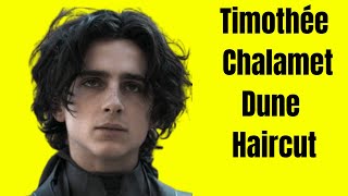 Timothée Chalamet Dune Haircut  TheSalonGuy [upl. by Skill]