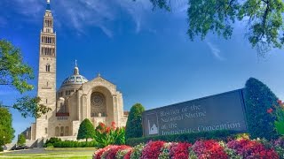 Solemnity of the Immaculate Conception [upl. by Nameloc625]