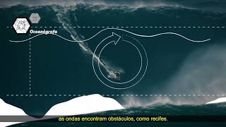 Onda Gigante  visão de uma oceanógrafa [upl. by Ieppet]