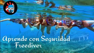 Curso de Apnea Freedivers Buceo Libre [upl. by Boesch]