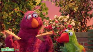 Sesame Street Math is Everywhere  Preview 3 [upl. by Epperson]