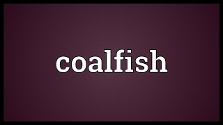 Coalfish Meaning [upl. by Thorfinn]