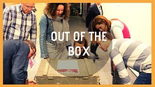 Teambuilding Game  OUT OF THE BOX [upl. by Guntar]