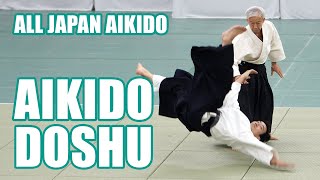 EXCELLENT AIKIDO 4K 60FPS Doshu Moriteru Ueshiba  59th All Japan Aikido Demonstration [upl. by Nahn112]