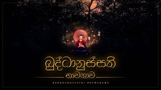 බුද්ධානුස්සති භාවනාව  Buddhanussathi Bhawanawa  අහස් ගව්ව Ahas Gawwa [upl. by Lesirg]