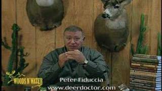 Deer Calling Tips Fawn Distress Bleat Sequence [upl. by Glennie]