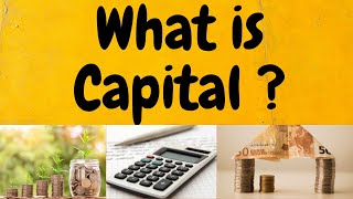 Basic Accounting Terms  Capital  What is Capital [upl. by Dirgis765]