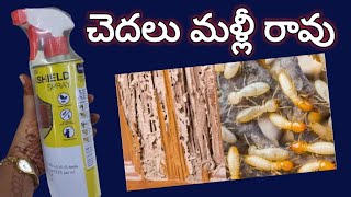 చెదలు సులభంగా తొలగించుకోండిchedalu povalante emcheyalichedala nivaarana [upl. by Aiveneg]