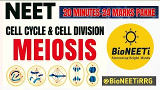 Mastering Meiosis Cell Division NEET NCERT Biology [upl. by Nilyarg555]