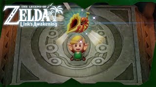 Bottle Grotto Dungeon Walkthrough  Zelda Links Awakening for Switch ᴴᴰ [upl. by Ayalat]