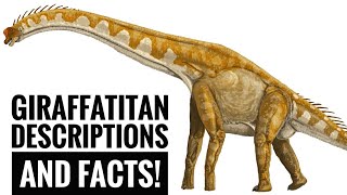 Giraffatitan  Titanic giraffe  Descriptions and Facts [upl. by Alban]