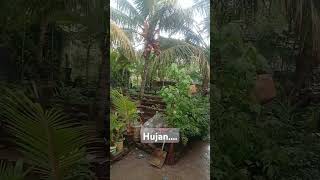 bertaniitunikmat bonsai kebunrumah lahansempit organikterbaik tanamanhias [upl. by Ankeny]