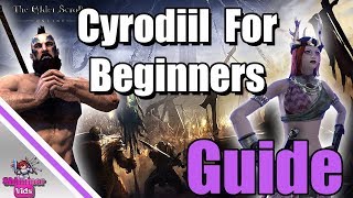 ESO Ultimate Beginners Guide to Cyrodiil [upl. by Rollins]