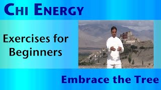 Chi Energy  Exercises For Beginners  Embrace The Tree [upl. by Adallard]