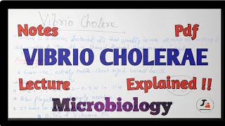 Vibrio Cholerae Microbiology [upl. by Karly660]