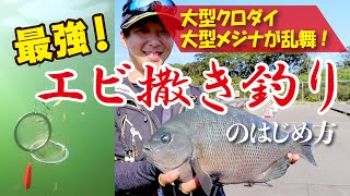 最強！エビ撒き釣りのはじめ方 [upl. by Jerome]