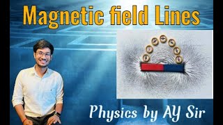 Magnetic field lines experiment [upl. by Eilsek]