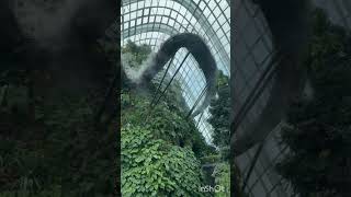 Biodome Gardens by the bay Cloudforest Singapore shorts [upl. by Nahsaj]