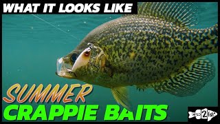 Fishing for Summer Crappies  What it Looks Like Underwater [upl. by Skerl878]