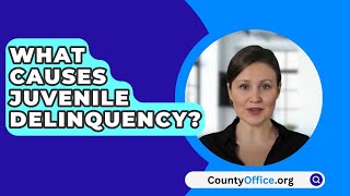 What Causes Juvenile Delinquency  CountyOfficeorg [upl. by Eladnyl]