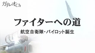 【航空自衛隊】ファイターへの道～パイロット誕生 [upl. by Alvinia634]