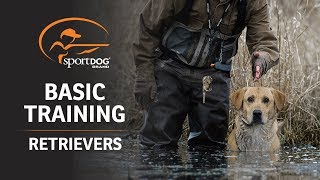 Basic Training  Retrievers [upl. by Glynnis]