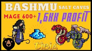 GUIA DE HUNT BASHMU PARA MAGES LEVEL 600 16KK PROFITHORA [upl. by Anny]