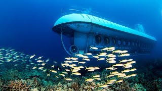 Atlantis Submarine Adventure in Oahu Hawaii [upl. by Adnoloy]