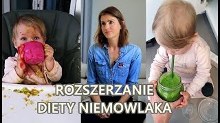 Rozszerzanie Diety Niemowlaka  Co Daję Swojemu Dziecku [upl. by Ahsenid711]