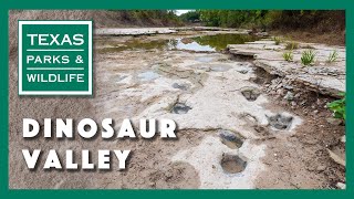 Dinosaur Valley State Park Texas [upl. by Bolan397]