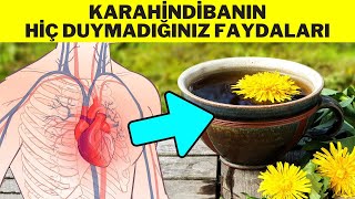 KARAHİNDİBANIN FAYDALARI  KARAHİNDİBA ÇAYI NASIL YAPILIR HİNDİBA OTUNUN FAYDALARI [upl. by Sral]