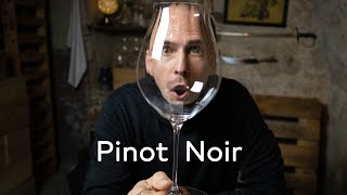 PINOT NOIR  WINE IN 10 [upl. by Ahkihs]