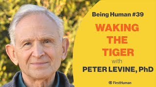 39 WAKING THE TIGER  PETER LEVINE PhD  Being Human [upl. by Lyndsay]