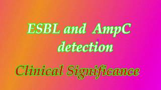 AmpC and ESBL enzymes detection and their importance [upl. by Mayer]