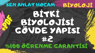 BİTKİ BİYOLOJİSİ KONU ANLATIMI 5  GÖVDE YAPISI 2  AYT BİYOLOJİ  ✅ [upl. by Noivaz102]